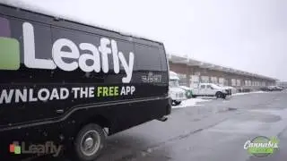 Leafly at World Cannabis Week