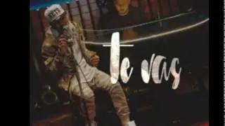 Ozuna   Te Vas Sane Mambo Remix