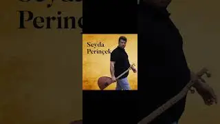 Seyda Perin&ccedil;ek &ccedil;ekel ne xuyaye