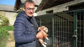 Млади на селу - Милош Кокановић