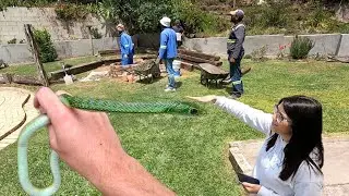 В ее саду обнаружена змея!