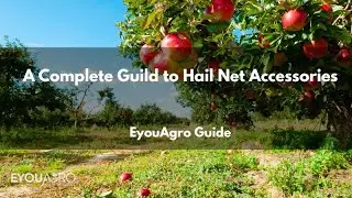 A Complete Guild to Hail Net Accessories