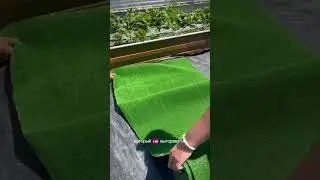 Искусственный газон