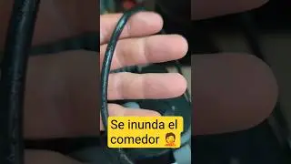 Filtro ACUARIO  FLUVAL p&eacute;rdida de AGUA SOLUCI&Oacute;N! #shorts#tutorial