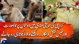 Cattle Market Karachi 2025: Beautiful designs are being painted on camels |  @GeoDigitalVideo