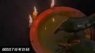 فال لمجاذيب🕯️ حساب لعواشر👁️حنة شعبان⚔️تسليم الرجال الله ⚔️
