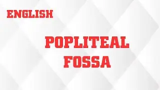 POPLITEAL FOSSA IN ENGLISH/INTRODUCTION/TRIBUTARIES/LOCATION