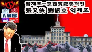 習체포작전 총격전