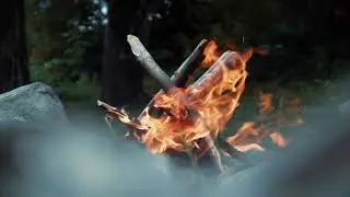 Fogata Bosque / forest campfire /Relaxing