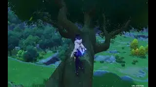 Genshin Impact Shared Sight Event Day 6 Animals retrieved with the Inscribed Mirror