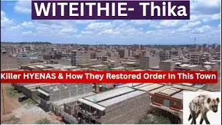 Mandatory Night CURFEW By Man-Eating HYENAS & How They Reduced Alcoholics & Thieves In Witeithie