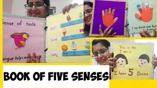 Sensory file | TLM | File for sense organs
