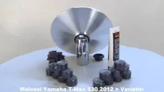 Malossi T Max 530 Variator