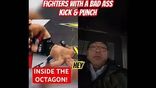 Oops fighter with a hard punch & kick causing knockout #mma #ufc #sports  #viral