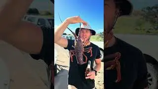 2025 Insane Adventues, Marlin, Tuna, Friends, Family fun! #outdoors #fishing
