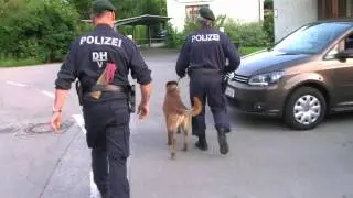 Gro&szlig;angelegte Suchaktion nach geflohenem U-H&auml;ftling im Pf&auml;ndergebiet