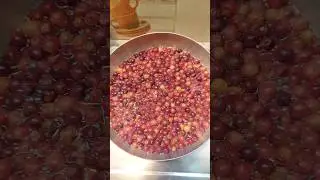 Falsa juice 🧃 || summer drink || #shorts #drink #ytshorts #falsa #kitchenstroke #food #reels