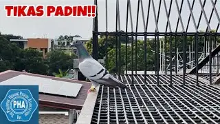 UMUSOK SA TULIN YUNG JANSSEN RELAX!!