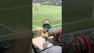 Why did everyone think he was a nuisance?🤔(@timbers.ptfc)