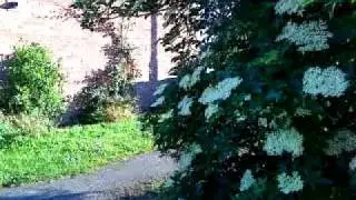 Anythings Possible: Disappear into bush