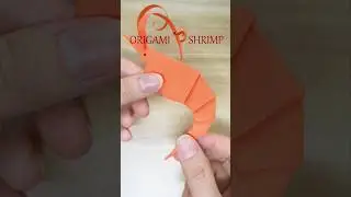 ORIGAMI SHRIMP/PRAWN 🦐🦐 #origami #papershrimp #paperprawn #origamiprawn #origamishrimp