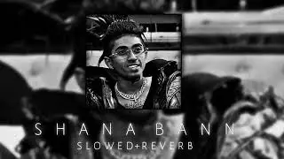 MC STAN - SHANA BANN |  ( SLOWED+REVERB ) | @DARKVIBES18