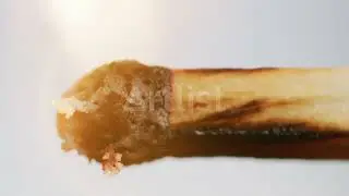 69941  lit matchstick burning up white background By Studio Non Artlist HD