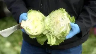 The Source Live | Taylor Farms Transition | Salinas Valley