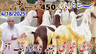 Bakra Farm Business in Pakistan Eid Season karoron ki bachat 450 روپے کلو Friday Market Fresh Video