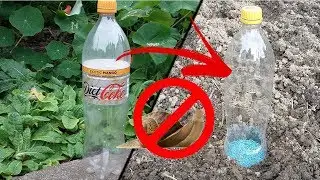 How To Make A FREE Slug Trap!