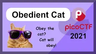 picoCTF 2021 &mdash; Общие испытания &mdash; Послушный кот
