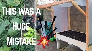 Новости зимнего садоводства 🌱 Экскурсия по теплице и извлеченные уроки