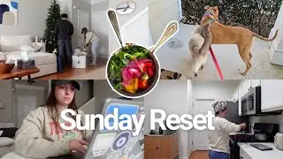 Sunday Reset Vlog | taking down the Christmas tree, cleaning, filming & editing, practicing Spanish