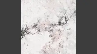 SOLO