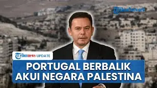 'Muak' dengan Israel, Portugal akan Akui Negara Palestina bersama Prancis-Inggris Jelang Sidang PBB
