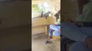 #villagecomedy #villagevlogs #villagememes#villagegames😂😂