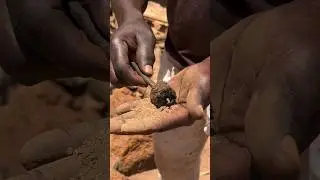 Where do the tribals get iron from in such a big forest #shortvideo