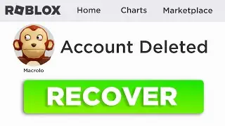 How To Recover Roblox Accounts Without Email Or Phone Number (2026)