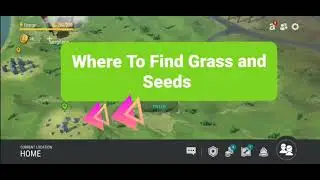 Where To Find Grass and Seeds In Last Day On Earth 2021