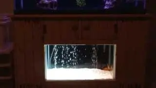 my homemade double fish tank stand.. not finished