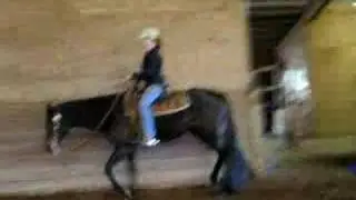 Rocked My World-Rail Work
