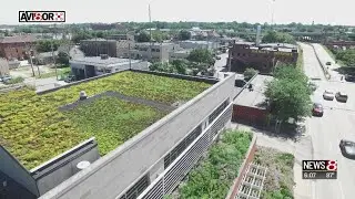 Harvested rainwater sustains downtown building's living roof
