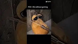 POV: life without gaming