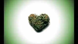 TURNO - DRUG LOVE VIP 2 ?!