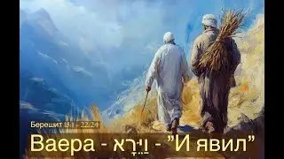 Live - Недельная глава Торы:  
