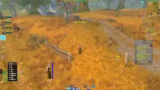 wow china relaunch beta testing leveling