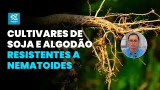 Tudo Sobre Resistência a Nematoides em Soja e Algodão