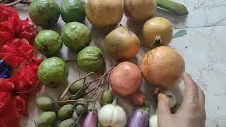 Terrace Garden Harvest Organic Vegetables Fruit Flower & Saag |