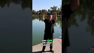Tai Chi&rsquo;s Secret  Up and Down Yin&ndash;Yang Energy in Every Move