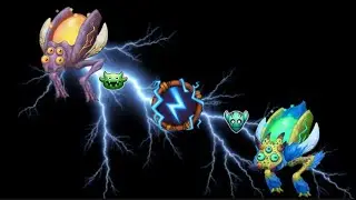 Evolving zynth into rare zynth 
